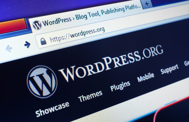 WordPress Nedir?