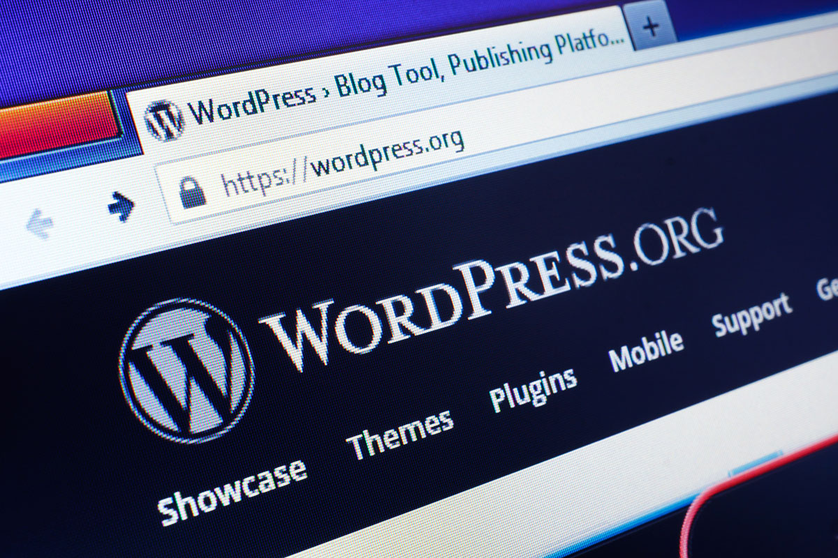 WordPress Nedir?